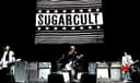 Sugarcult