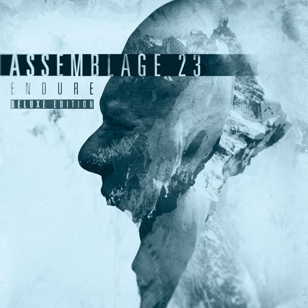 Assemblage 23 - Endure (2 CD) (Limited Deluxe Edition)