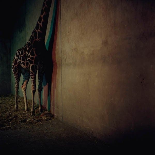 Alien Ensemble - Alien Ensemble 2 (LP)