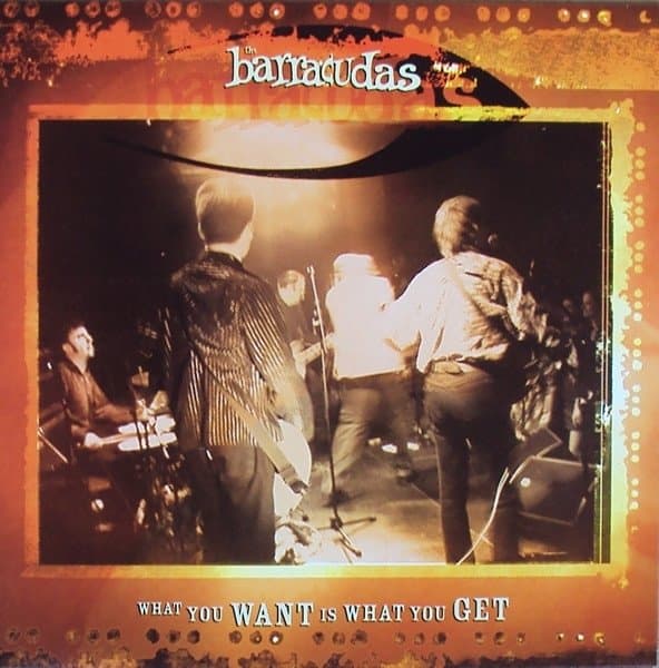 Barracudas - What You Want Is What You Get (7" Single)