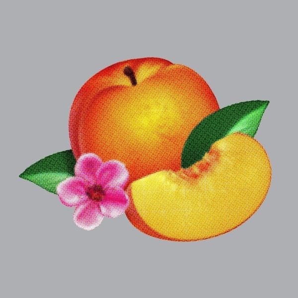 Phoenix - Bankrupt! (CD)