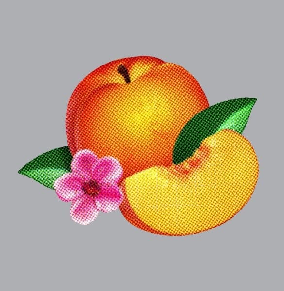 Phoenix - Bankrupt! (CD) (Deluxe Edition)