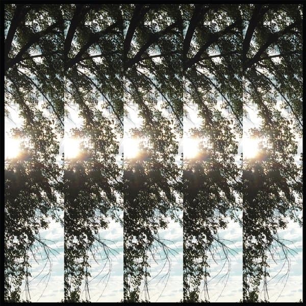 Pontiak - Dialectic Of Ignorance (LP)