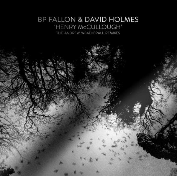 Bp Fallon  David Holmes - Henry Mccullough Rsd 2017
