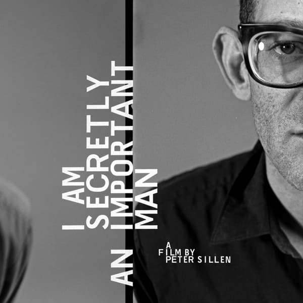 Bernstein Steven Jesse - I Am Secretly.. -lp+dvd-