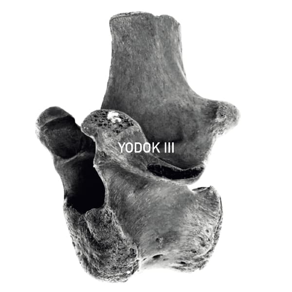 Yodok III - Yodok III (3 CD) (Deluxe Edition)