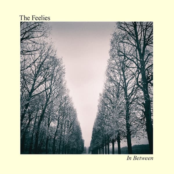 The Feelies - In Between (CD)