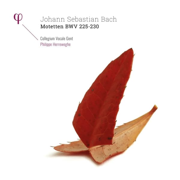 Collegium Vocale Gent, Philippe Herreweghe - Motetten BWV 225 - 230 (2 LP)