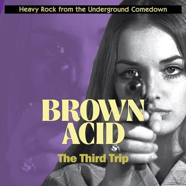 Various Artists - Brown Acid: The Third Trip (LP)