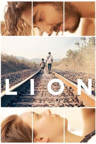 Lion (Import)