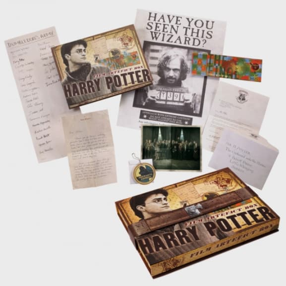 Noble Collection - Harry Potter: Harry Potter Artifact