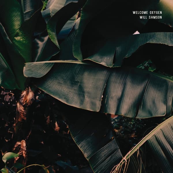 Will Samson - Welcome Oxygen (LP)