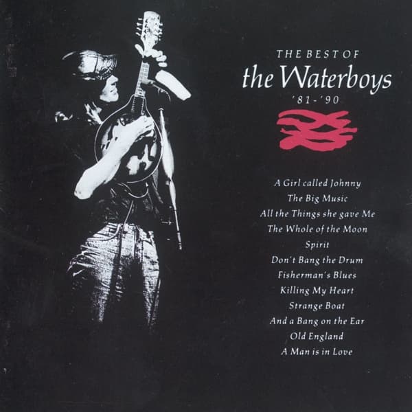 The Waterboys - Best Of The Waterboys (CD)