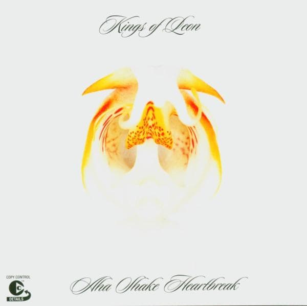 Kings Of Leon - Aha Shake Heartbreak (CD)