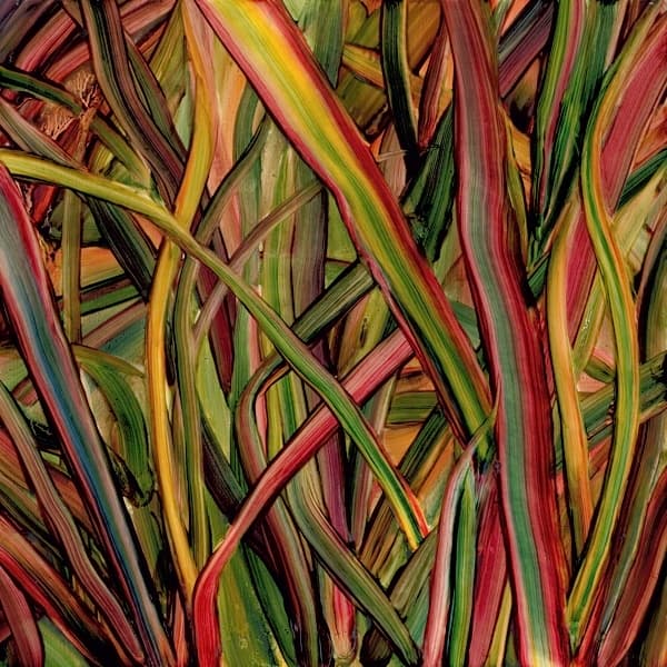 Gengahr - Where Wildness Grows (LP)