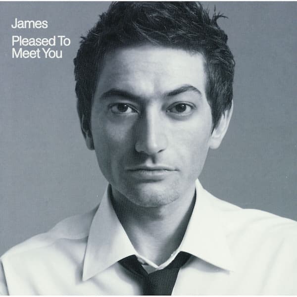 James - Pleased To Meet You (2 LP)