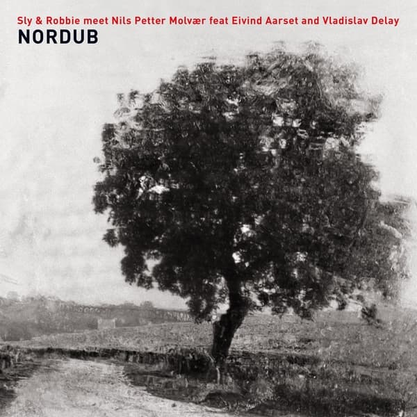 Sly & Robbie, Nils Petter Molvær, Eivind Aarset, Vladislav Delay - Nordub (CD)