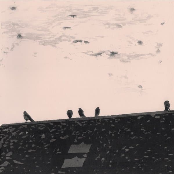 Stuart A. Staples - Arrhythmia (LP)