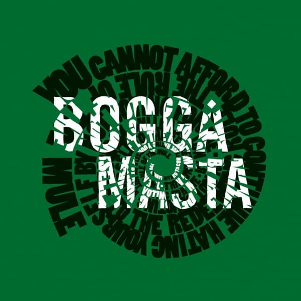 Flat Earth Society & David Bovée - Boggamasta (LP)