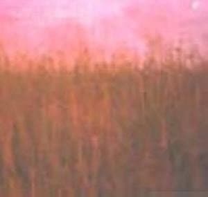 Nostalgia 77 - Everything Under The Sun (CD)