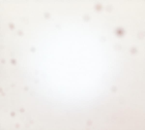 Yo La Tengo - There's A Riot Going On (LP)