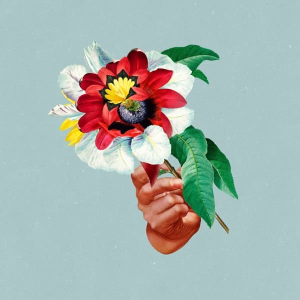 Maribou State - Kingdoms In Colour (LP)