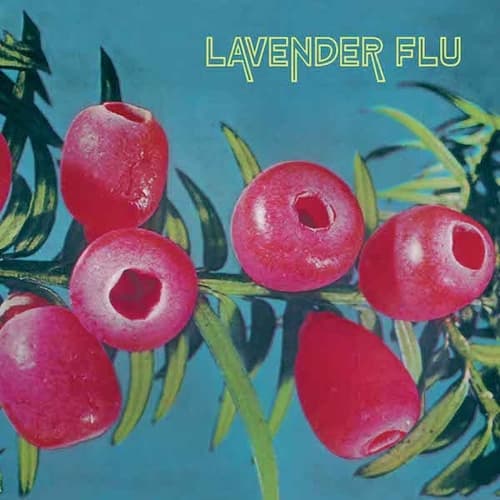 The Lavender Flu - Mow The Glass (CD)