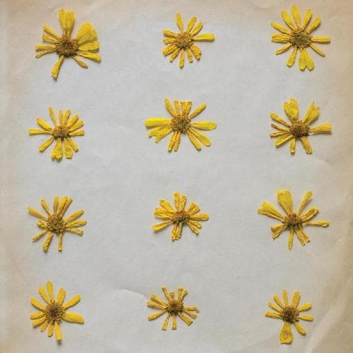 Molochs - Flowers In The Spring
