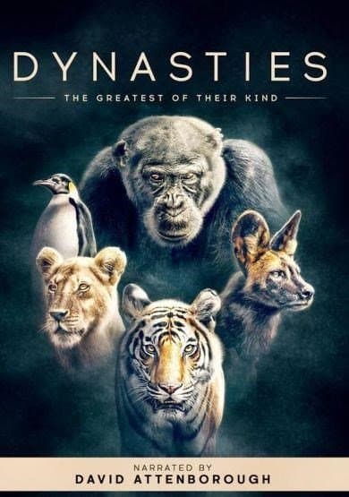 Dynasties - Seizoen 1 (DVD)