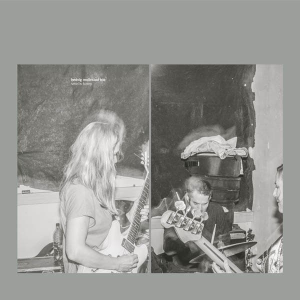 Hedvig Mollestad Trio - Smells Funny (CD)