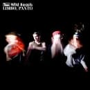 Wild Beasts - Limbo Panto (CD)