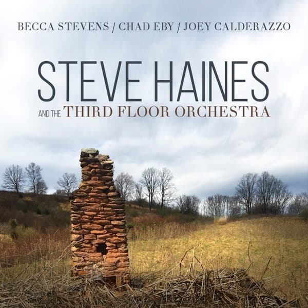 Steve Haines And The Third Floor Orchestra - Steve Haines And The Third Floor Orchestra (CD)
