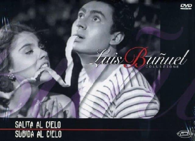 Movie - Salita Al Cielo