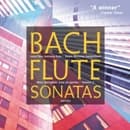 See, Moroney, Springfels - Flute Sonatas Vol 1