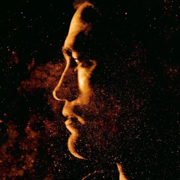 Stuart A. Staples - High Life (LP)