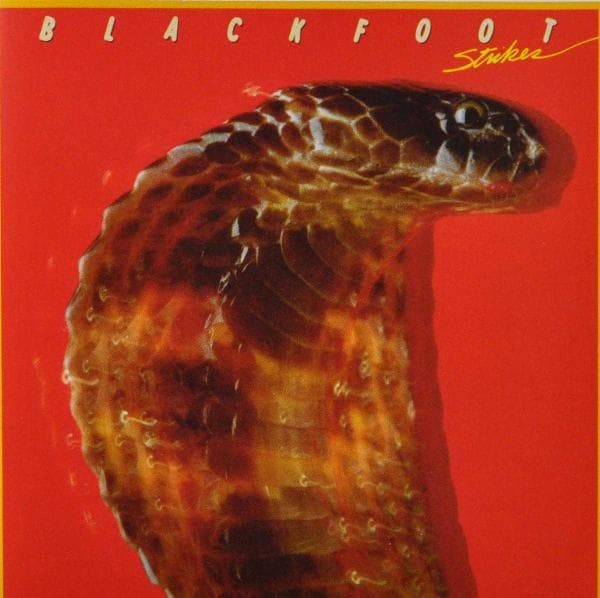 Blackfoot - Strikes