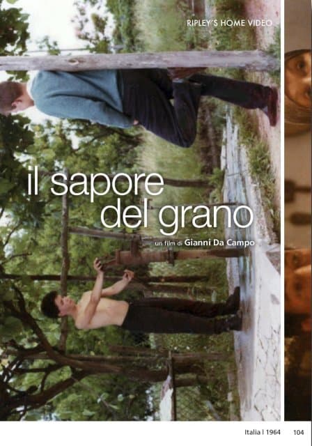 Sapore Del Grano (il) (Import)