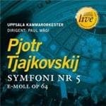 Uppsala Chamber Orchestra - Symphony Nr 5 (CD)