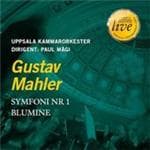 Uppsala Chamber Orchestra - Symphony No.1 (CD)