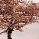Spokane - The Proud Graduates (CD)
