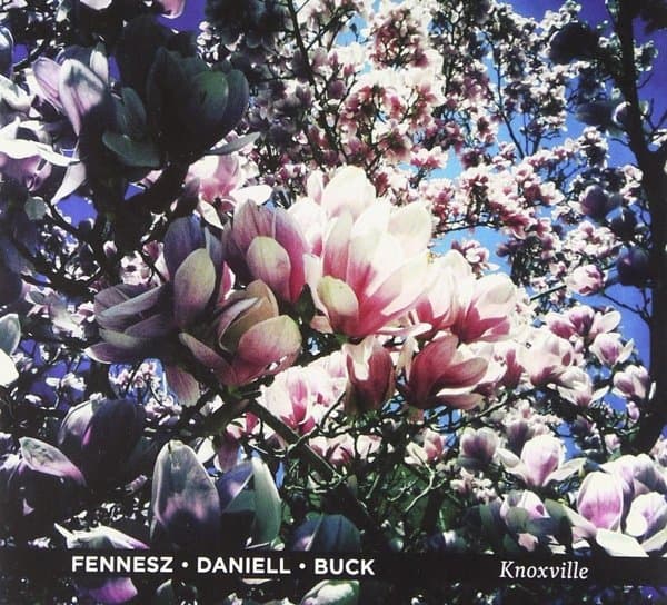 Fennesz, David Daniell, Tony Buck - Knoxville (CD)