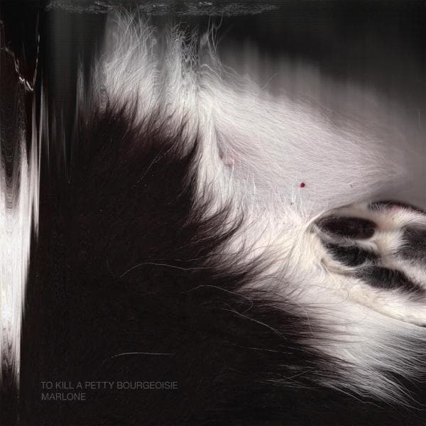 To Kill A Pretty Bourgeoisie - Marlone (CD)