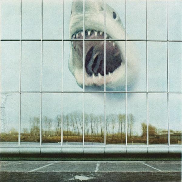 Black Mountain - Wilderness Heart (CD)