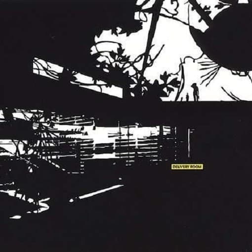 Various Artists - Delivery Room (CD)