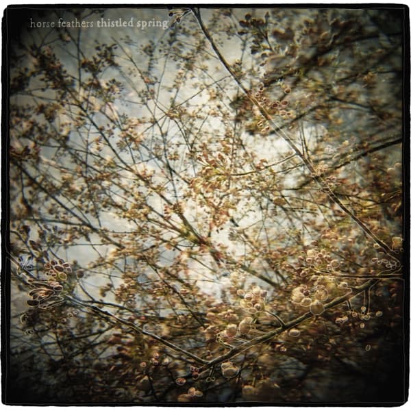 Horse Feathers - Thistled Spring (CD)