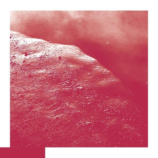 David Allred - The Cell (CD)