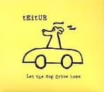 Teitur - Let The Dog Drive Home