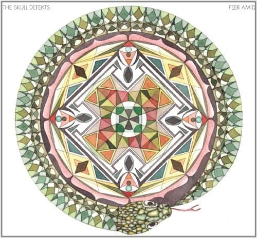 The Skull Defekts Feat. Daniel Higgs - Peer Amid (CD)