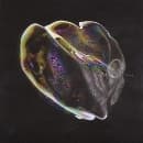 Tom Trago - Iris (CD)