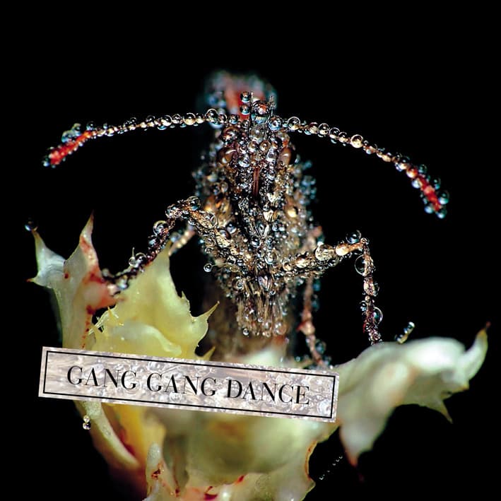 Gang Gang Dance - Eye Contact (CD)